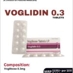 VOGLIDIN 0.3