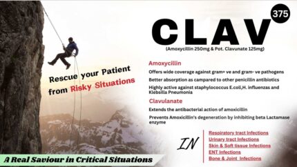 Amoxycillin 250+ Pot Clavulanate 125 mg