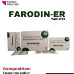 FARODIN 300 ER