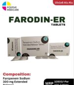FARODIN 300 ER