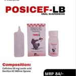 Posicef LB dry syrup